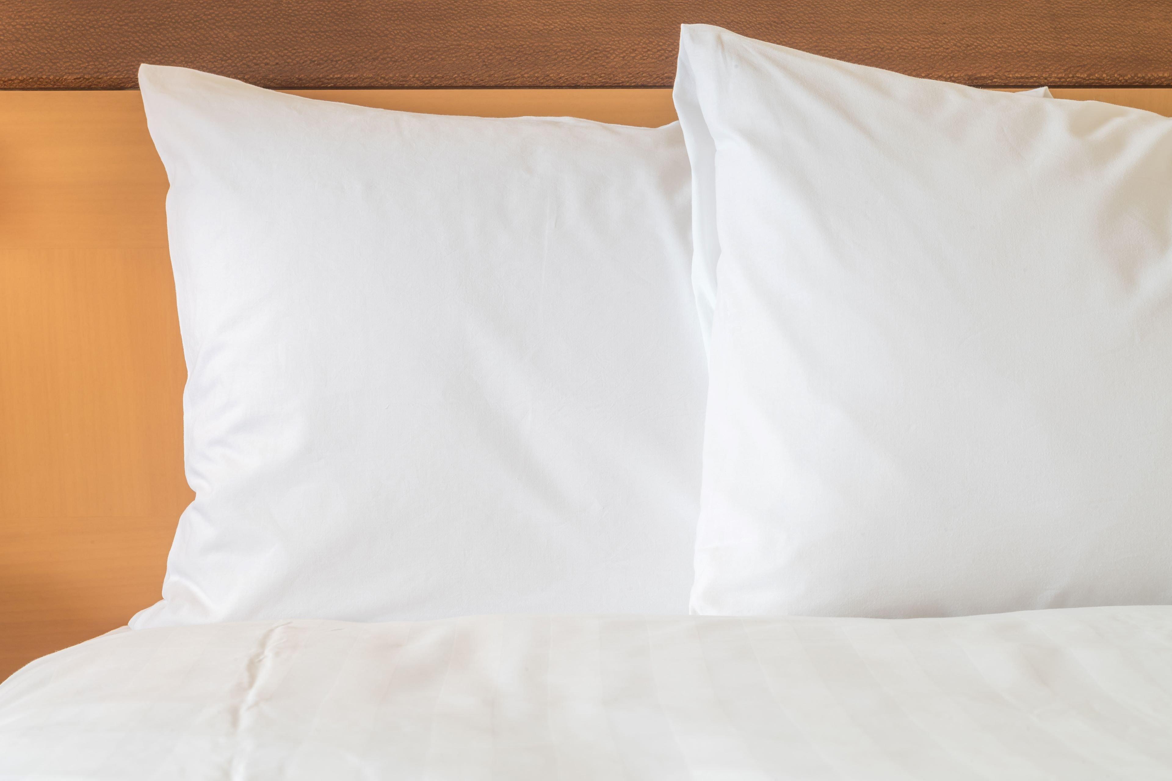 Holiday Inn Express Hotel & Suites Raleigh North - Wake Forest By Ihg Eksteriør bilde